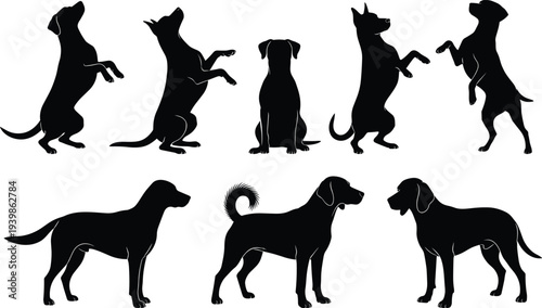 Black silhouettes of dogs sitting standing and begging on white background, set of domestic pets for animal lovers and veterinary,