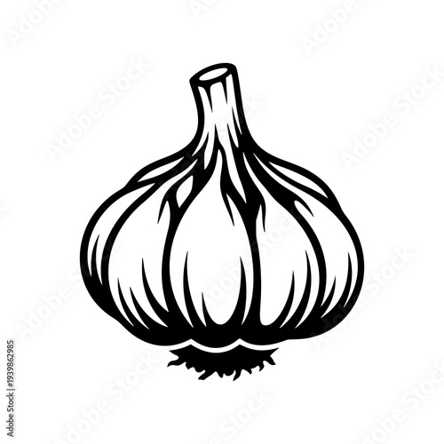 Garlic Bulb Illustration