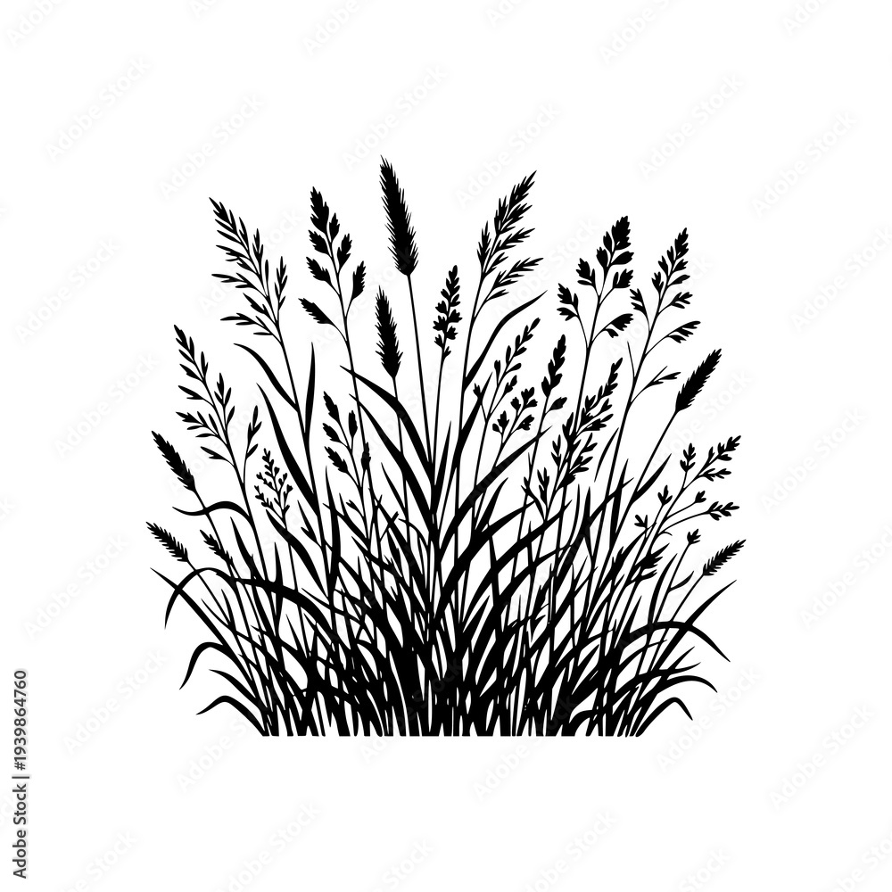 Fototapeta premium grass silhouette isolated on white