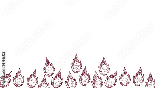 Dragon Fruit background Pattern Vector. Hand Drawn Pitaya Tropical Fruit Illustration. Outline Doodle Style Repeating Food Background. Decorative Exotic Fruit Texture.