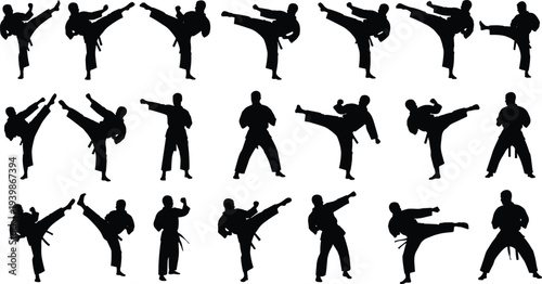 Martial arts karate fighter silhouettes performing kicks and fighting poses collection, taekwondo combat training vector set isolated for sport and self defense design