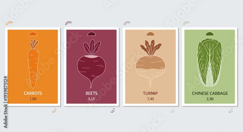 Set of stylized illustrations of vegetables: carrots, beets, turnips, and Chinese cabbage with prices.