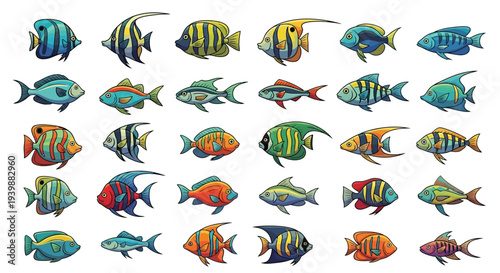 Collection of various colorful fish on white background