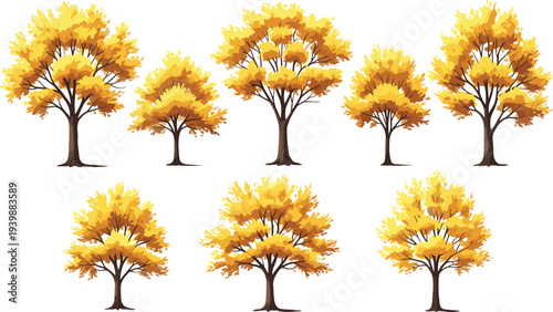 Collection of autumn trees with golden yellow foliage vector illustration set, seasonal fall forest plants isolated for landscape design and nature decoration