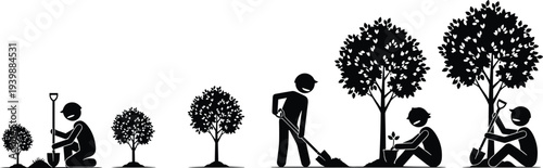 Tree planting process silhouette vector illustration showing stages of planting, gardening activity, environmental conservation concept with people growing trees from seedling to mature plant