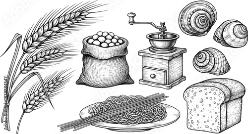 Vintage engraved bakery and grain illustration set, wheat ears, bread loaf, flour sack, coffee grinder, rustic food sketch collection