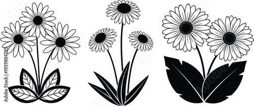 Set of Hand Drawn Black and White Daisy Flower Bouquets Vector Illustration for Spring Decor, Floral Pattern Design, and Botanical Crafts.