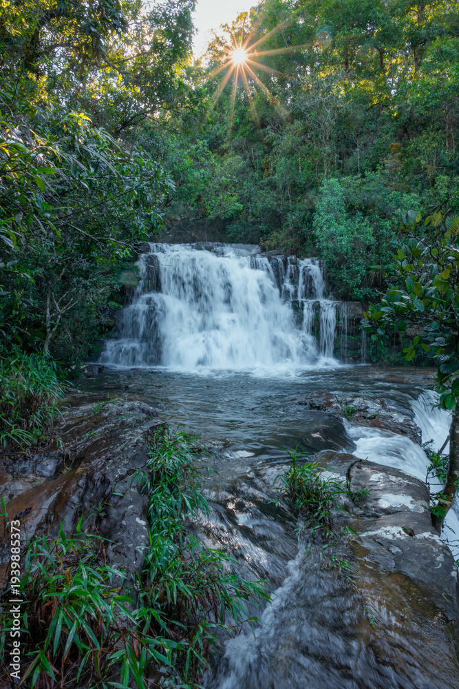 Obraz premium Lush green rainforest ecosystem showcasing a multi-tiered waterfall cascading down rocks with sparkling sunrays penetrating dense canopy, highlighting nature's beauty and untouched wilderness