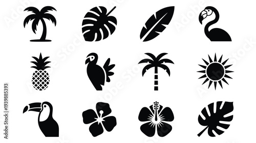 Tropical graphic design elements featuring palm trees exotic birds and floral motifs in black silhouette on white background for summer and travel themes