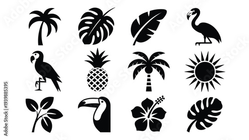 Tropical logo design pack featuring palm trees exotic leaves flamingo toucan pineapple and sun on white background