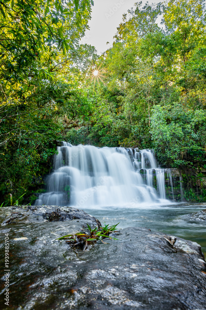 Fototapeta premium Lush green forest canopy framing beautiful cascading waterfall with sun starburst shining through dense foliage, creating tranquil natural landscape scene