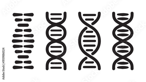 Evolution of DNA Structure Illustrated in Simple Black and White Graphics from Fragmented State to Double Helix Formation