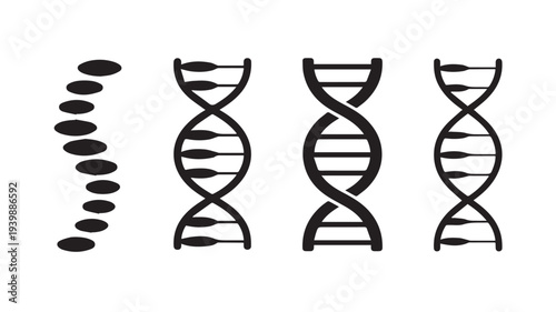 A minimalist line drawing of DNA double helix formation process illustration from scattered elements to complete structure