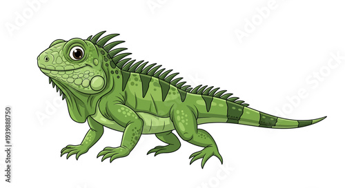 A vibrant green iguana standing on a clean white background.