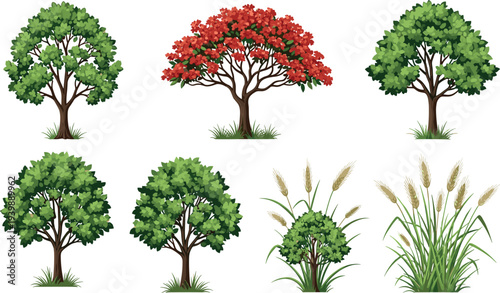 Collection of green trees flowering tree bushes and wild grass plants isolated botanical nature elements for landscape design garden vector illustration set