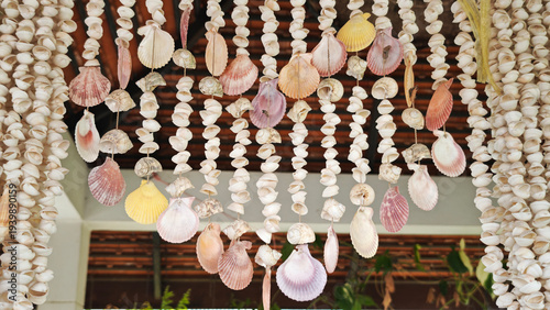 Quadro em tela Seashell Mobile or shell chime