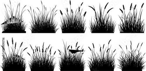 Wild grass and meadow plants silhouettes collection with reeds weeds and natural foliage isolated botanical elements for landscape design nature illustration set