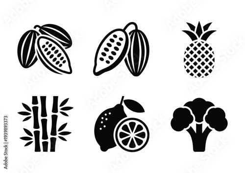 Vector features icons of cocoa beans, bamboo, pineapple, citrus fruit, and broccoli