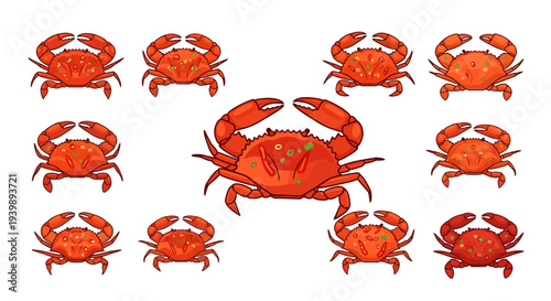 Spicy Padang Sauce Crab Illustration Set, Isolated Red Crab Vector Icons for Seafood Menu