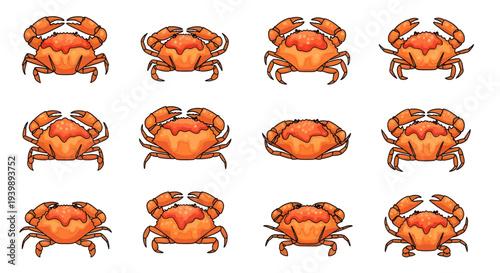 Set of Crab Illustrations Isolated on White Background, Cartoon Red Cooked Crabs Vector Collection