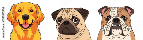 Three Dog Breeds Golden Retriever Pug Bulldog Colorful Pet Portraits Illustration