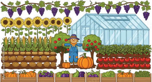 Colorful farm garden illustration with greenhouse, scarecrow, vegetables and fruits harvest including pumpkins, tomatoes, corn, sunflowers and grape vines, organic agriculture concept