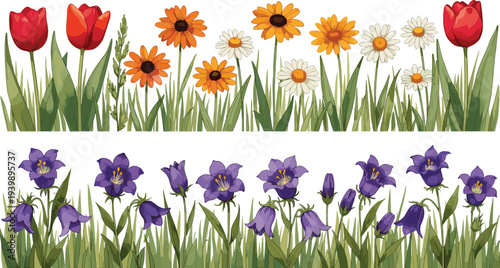 Colorful spring flowers border with tulips, daisies and purple bellflowers in green grass, botanical vector illustration set isolated on white background