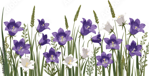 Digital illustration of blooming purple and white bellflowers surrounded by tall green grass and leafy plants, representing floral design, nature artwork, and botanical inspiration