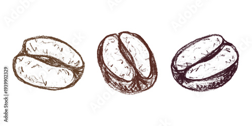 Set of hand drawn fresh roasted coffee bean Arabica robusta seed doodle Single element for design print packaging label decor