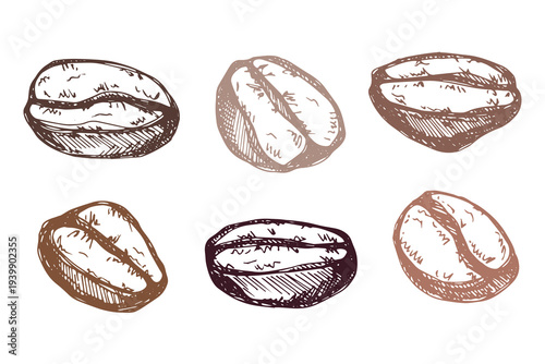Set of hand drawn fresh roasted coffee bean Arabica robusta seed doodle Single element for design print packaging label decor