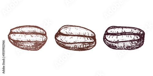 Set of hand drawn fresh roasted coffee bean Arabica robusta seed doodle Single element for design print packaging label decor