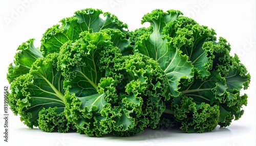 Fresh Curly Kale - A Vibrant and Nutritious Green Vegetable.