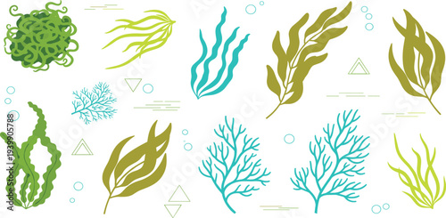 Cute Underwater Seaweed Coral Icons Set with Kelp Algae Bubbles Geometric Shapes Ocean Plants Leaves Branches for Marine Aquarium Tropical Website App Vector Illustration