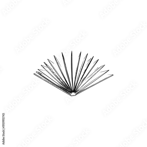 Open Book with Flying Pages Illustration