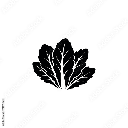 Fresh Green Lettuce Leaves Vegetable Healthy Food.