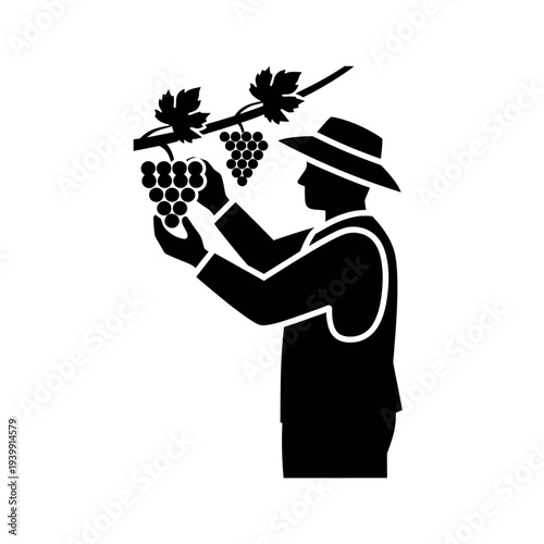 Grape Harvester Silhouette Icon.