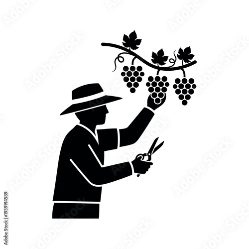 Grape Harvester Silhouette Icon 1.