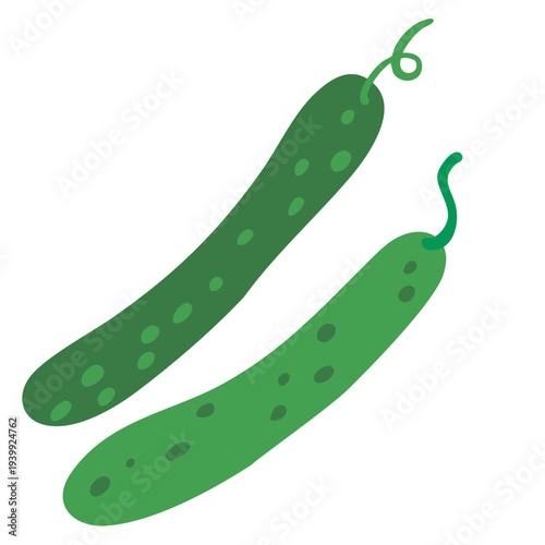 キュウリのイラスト