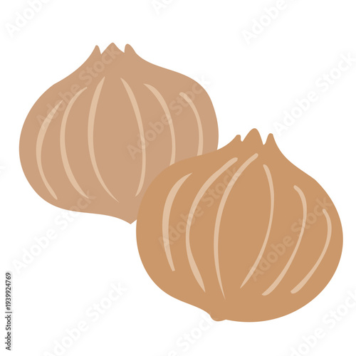 タマネギのイラスト