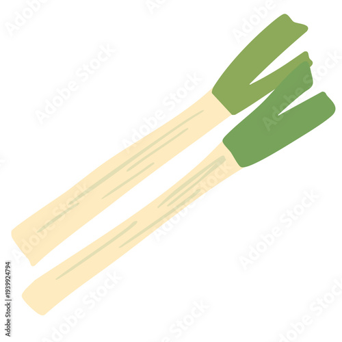 ネギのイラスト