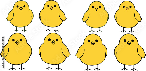 Cute yellow baby chick cartoon character set with simple flat design isolated on white background adorable farm animal vector illustration