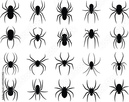 Black silhouette spider set various poses crawling arachnid insects Halloween creepy crawly shapes, minimalist vector collection for horror scary wildlife nature illustration design