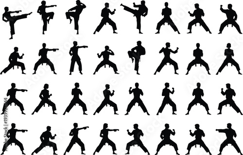 Collection of martial arts fighter silhouettes in dynamic karate kung fu poses including kicks punches stances and combat actions, black vector set on white background