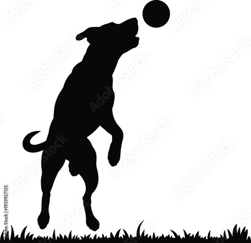 energetic dog silhouette jumping high to catch flying ball in grass, playful pet fetch action, black vector illustration on white background