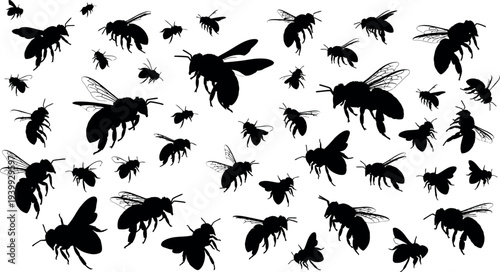 Collection of various fly silhouettes in different flying positions