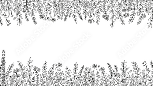 Elegant horizontal border design featuring hand drawn black and white botanical sketches of wild herbs and field flowers on a white background.