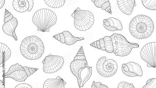 Seamless marine pattern consisting of detailed black and white line art drawings of many types of sea shells on a plain white background.