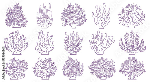 Extensive collection of diverse marine coral species rendered as elegant purple outline illustrations on a crisp white background.