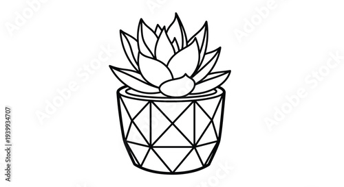 Clean black outline drawing of a charming succulent plant in a contemporary geometric pot offering a modern minimalist aesthetic.