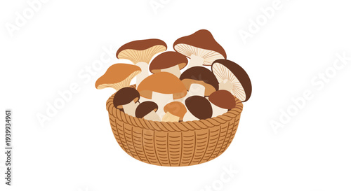 Rustic woven basket generously filled with a bountiful assortment of fresh wild mushrooms ready for culinary use.
